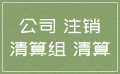有限公司注销的流程
