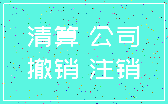 清算 公司_撤销 注销
