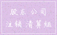 一人公司股东注销决议