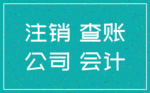 注销 查账_公司 会计
