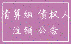 公司注销公告是在那公告