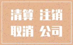 河北省公司注销流程图