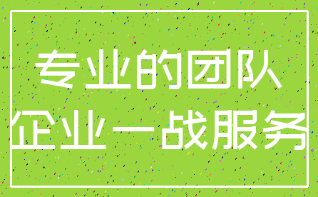 专业的团队_企业一战服务