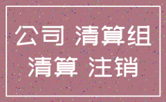 公司注销清算组必须是股东吗