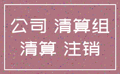 公司 清算组_清算 注销