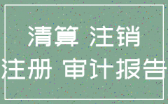 分公司注销清算审计报告