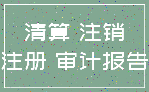 清算 注销_注册 审计报告
