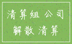 公司注销在哪一个网站