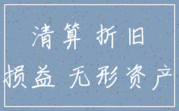 清算 折旧_损益 无形资产