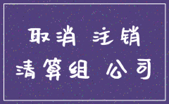 天津分公司主自主注销流程