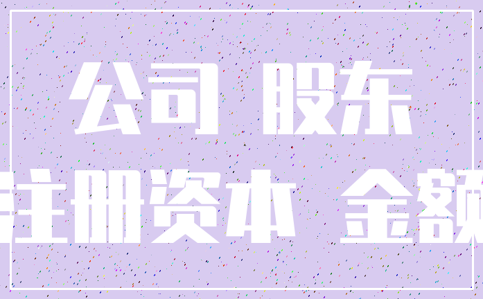 公司 股东_注册资本 金额
