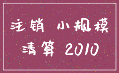 小规模纳税人公司注销清算报告