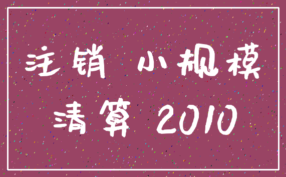 注销 小规模_清算 2010