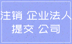 非公司企业法人注销登记证明