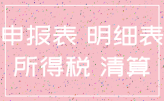 公司注销所得税清算表模板