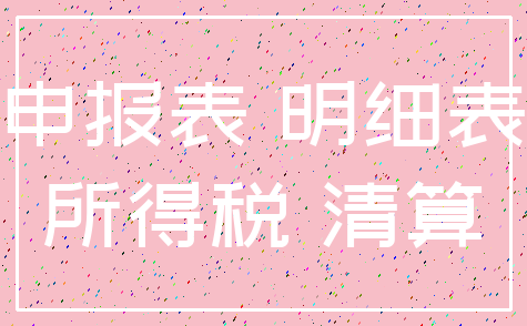 申报表 明细表_所得税 清算