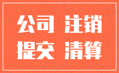 公司简易注销公告后的资料
