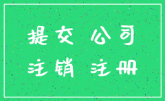 总公司批准分公司注销的文件