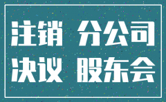 公司对注销分公司的决议