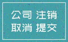 广州公司注销报告