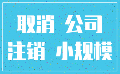 小规模公司如何注销流程