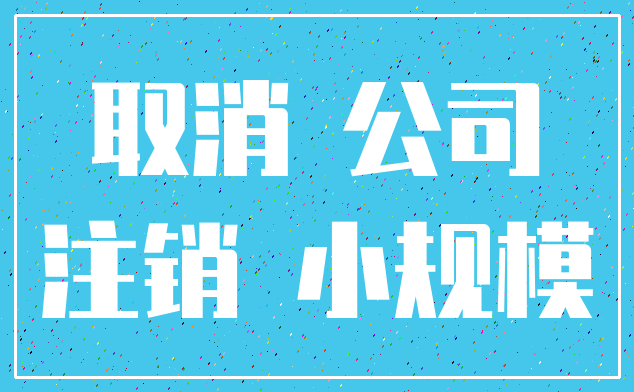 取消 公司_注销 小规模