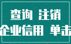 公司注销在哪里查询