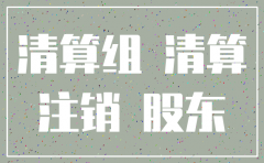 注销公司清算组申请书