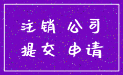 公司注销登记申请书表格