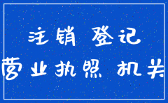 嘉定公司注销去哪里