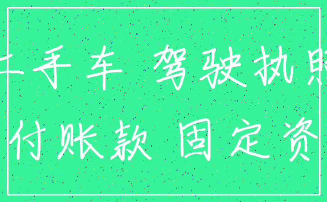 二手车 驾驶执照_应付账款 固定资产
