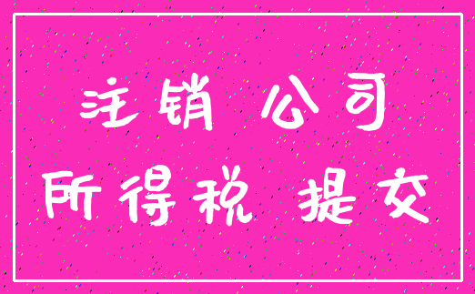 注销 公司_所得税 提交