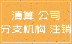 分公司注销剩余财产