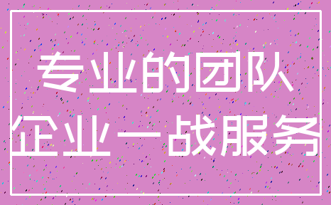 专业的团队_企业一战服务