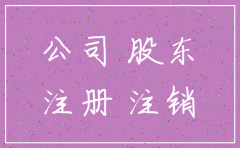公司注销的出资人决议