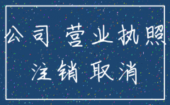 工商注册公司注销