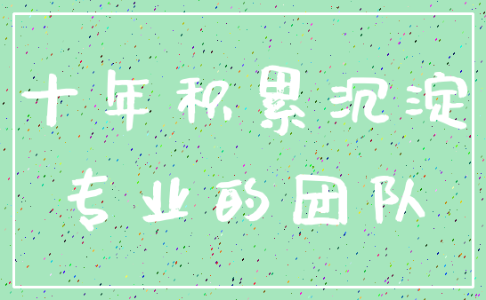 十年积累沉淀_专业的团队