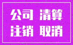 公司注销经营情况说明