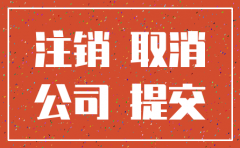小公司注销要什么手续