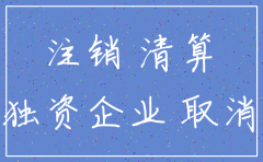 深圳一人独资公司注销