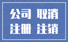 香港公司注销的流程图