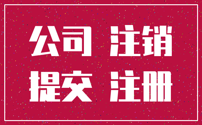 公司 注销_提交 注册