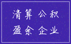 公司注销退回股本会计处理