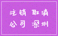 深圳市公司注销国税流程
