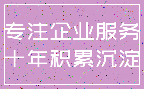 专注企业服务_十年积累沉淀