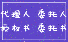 办理注销公司授权委托书