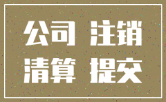 公司简易注销需要资料