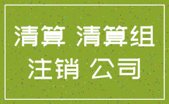 山东省公司注销资料清单