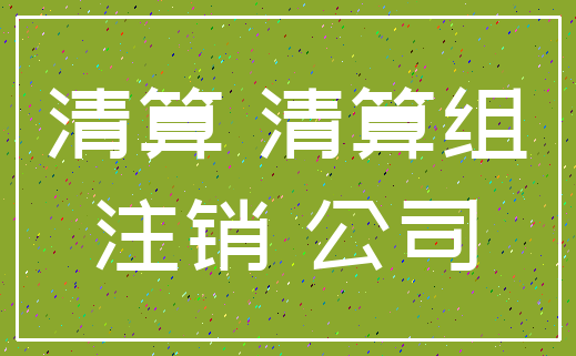清算 清算组_注销 公司