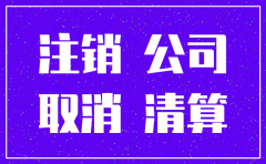有限责任公司办理注销手续